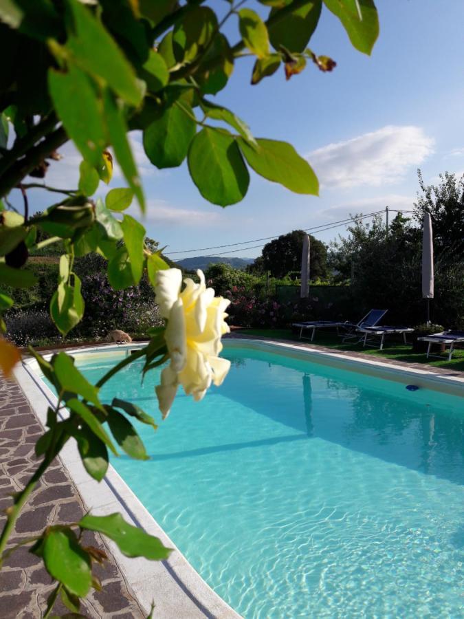 Corte Soave Montecchia di Crosara Екстериор снимка